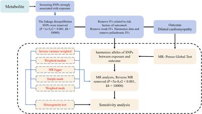 Causal association between 1400 metabolites and dilated cardiomyopathy: a bidirectional two-sample Mendelian randomization analysis